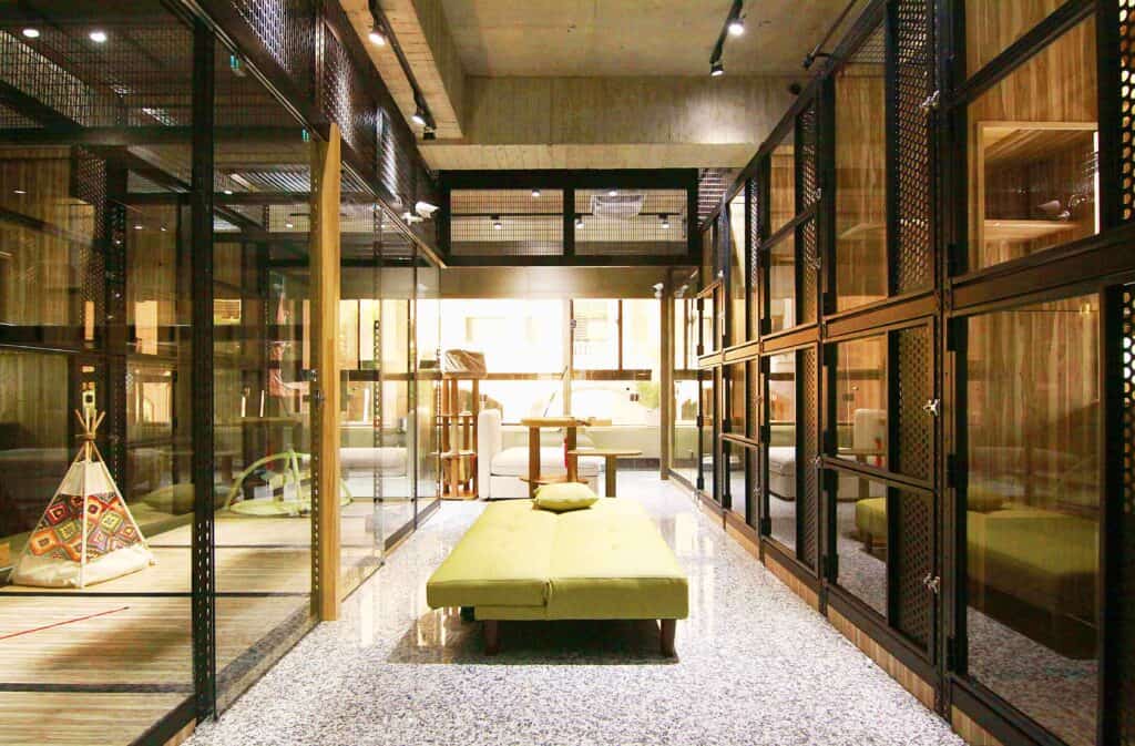 【青埔寵物旅館】寵物寄放該選哪?5 大高分桃園青埔寵物旅館推薦!