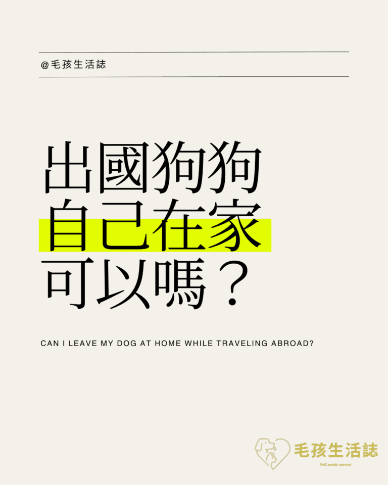 好心疼！出國狗狗自己在家可以嗎？5 個常見行為看出牠其實很孤單