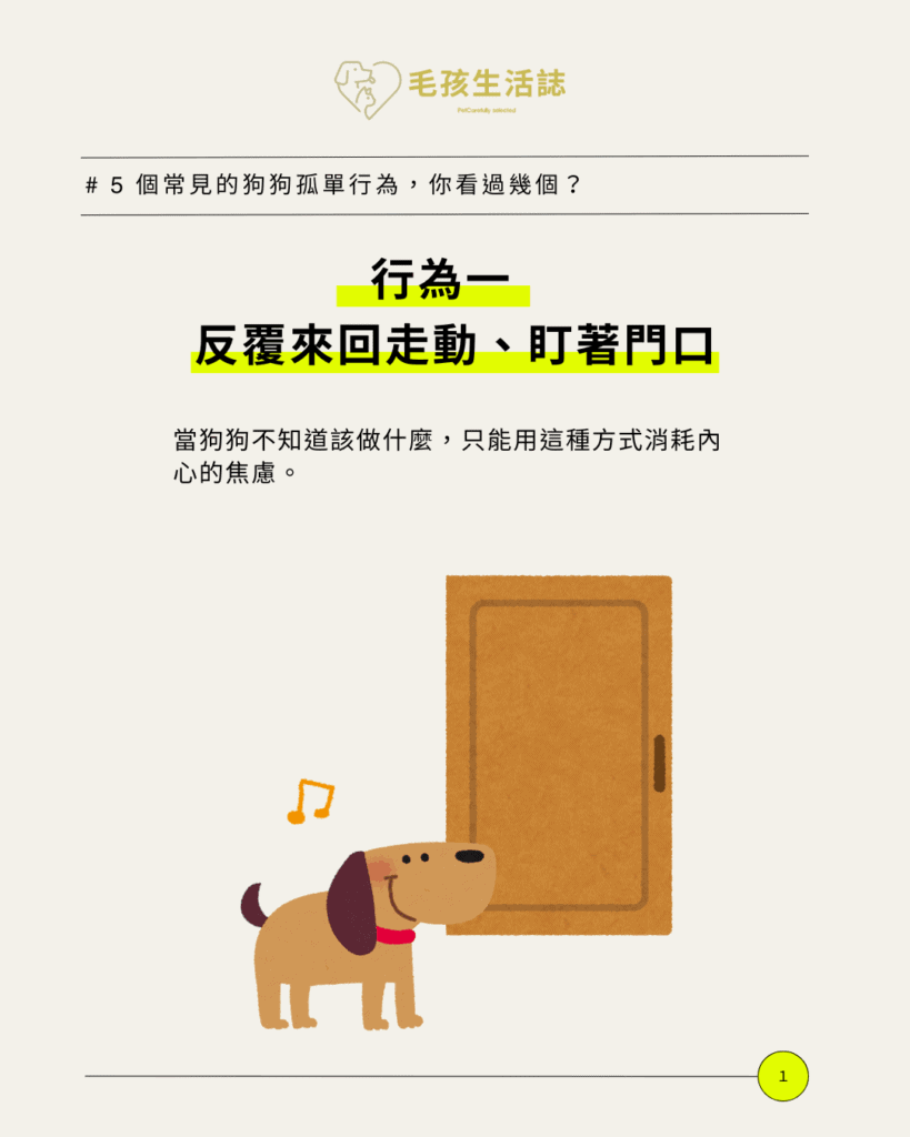 好心疼!出國狗狗自己在家可以嗎?5 個常見行為看出牠其實很孤單