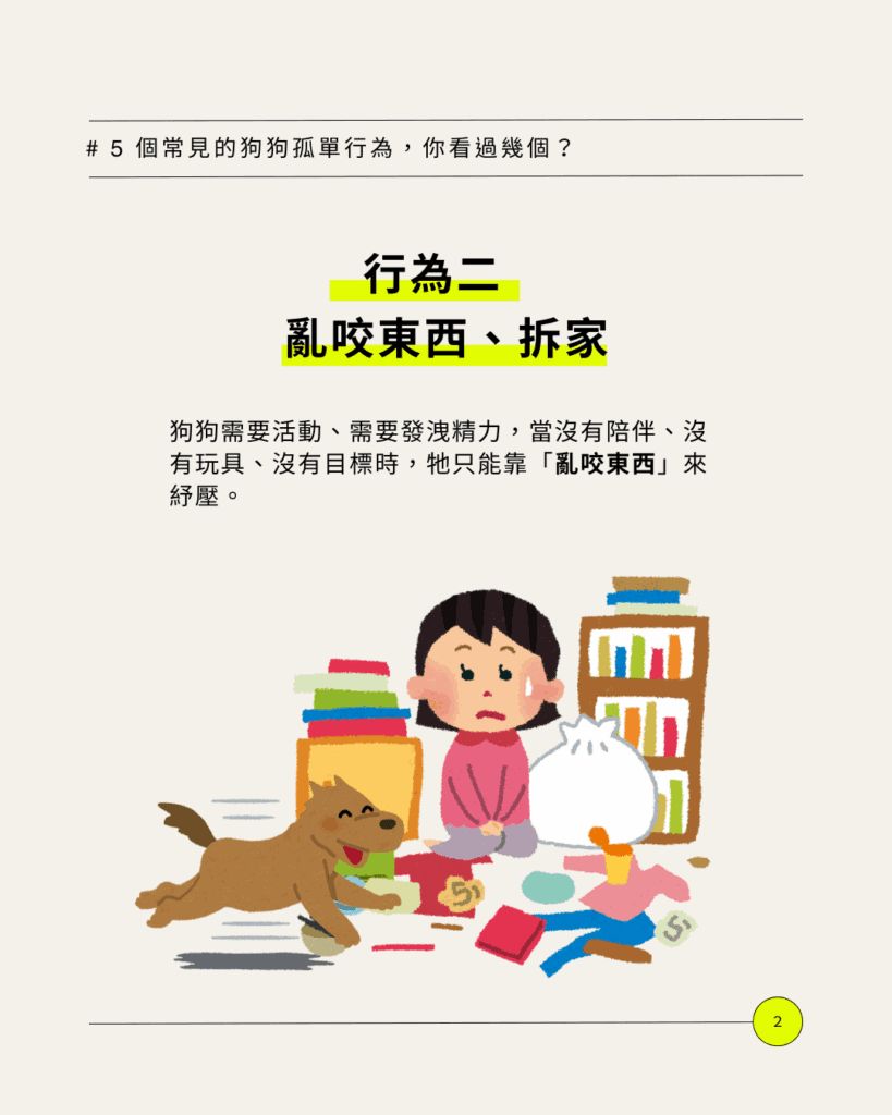 好心疼!出國狗狗自己在家可以嗎?5 個常見行為看出牠其實很孤單