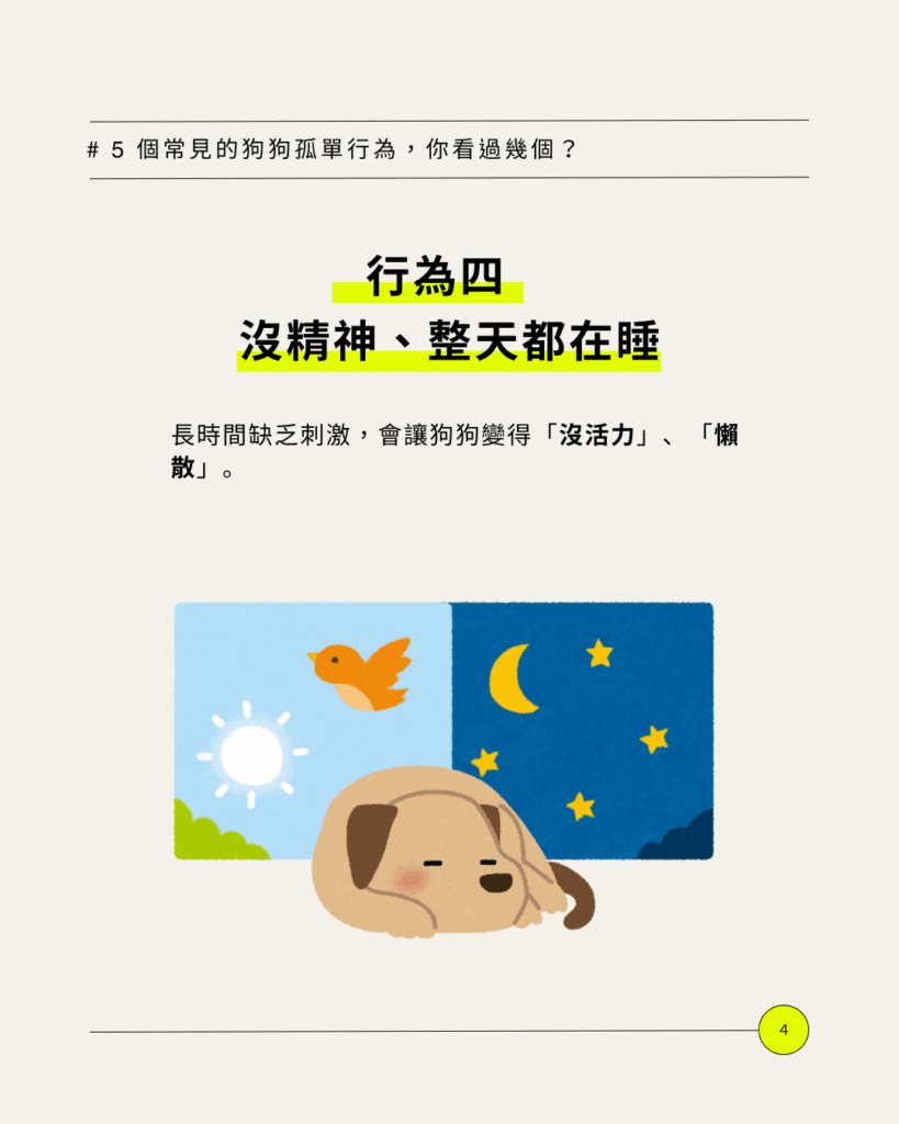 好心疼!出國狗狗自己在家可以嗎?5 個常見行為看出牠其實很孤單