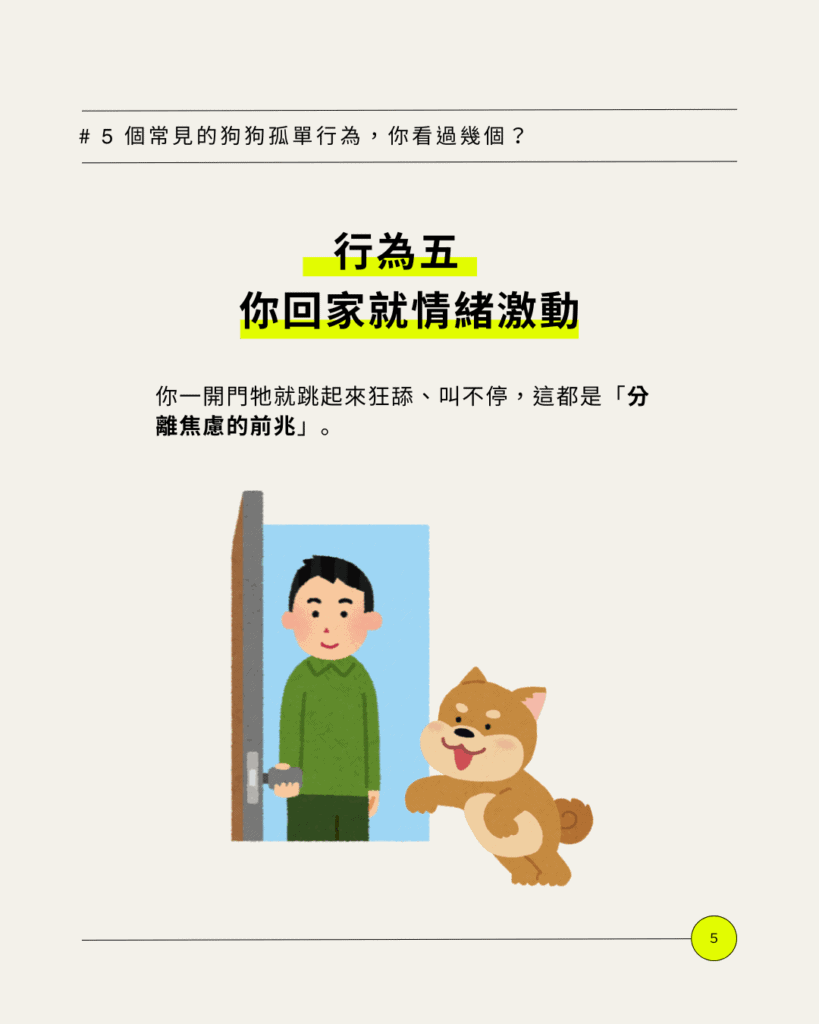 好心疼!出國狗狗自己在家可以嗎?5 個常見行為看出牠其實很孤單