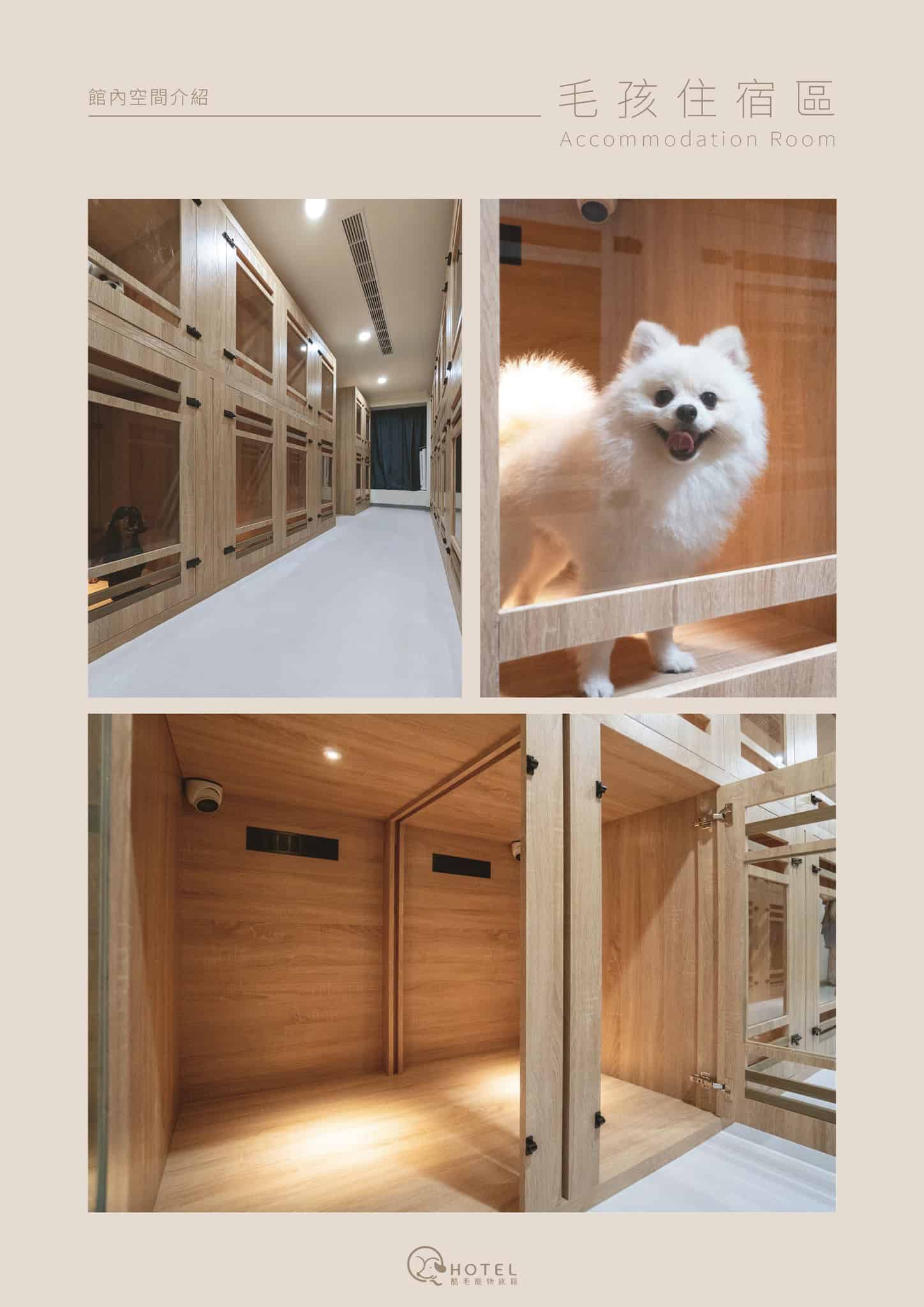 【桃園寵物旅館】狗狗寄放該選哪？桃園 8 間高分狗狗旅館推薦！