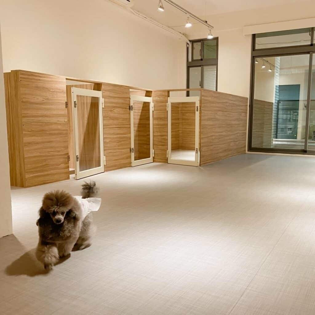 【青埔寵物旅館】寵物寄放該選哪?5 大高分桃園青埔寵物旅館推薦!