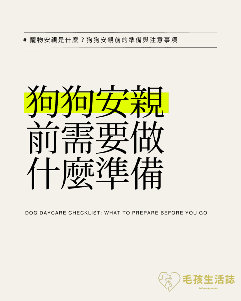 寵物安親是什麼？狗狗安親前的 3 大準備與注意事項