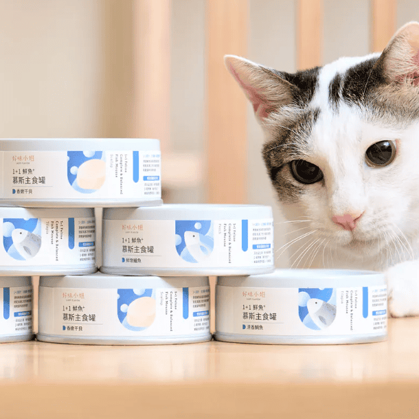 貓奴必看！今年最值得入手的10款熱門主食罐推薦